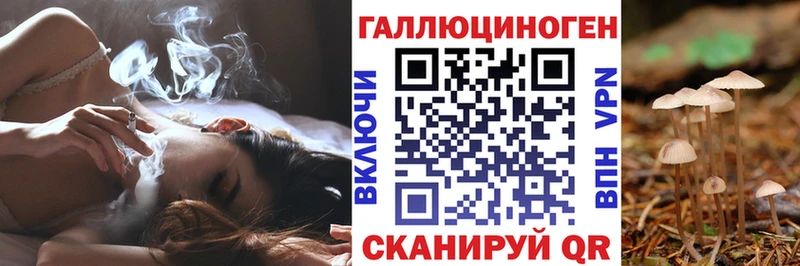 Галлюциногенные грибы Psilocybe  Советский 